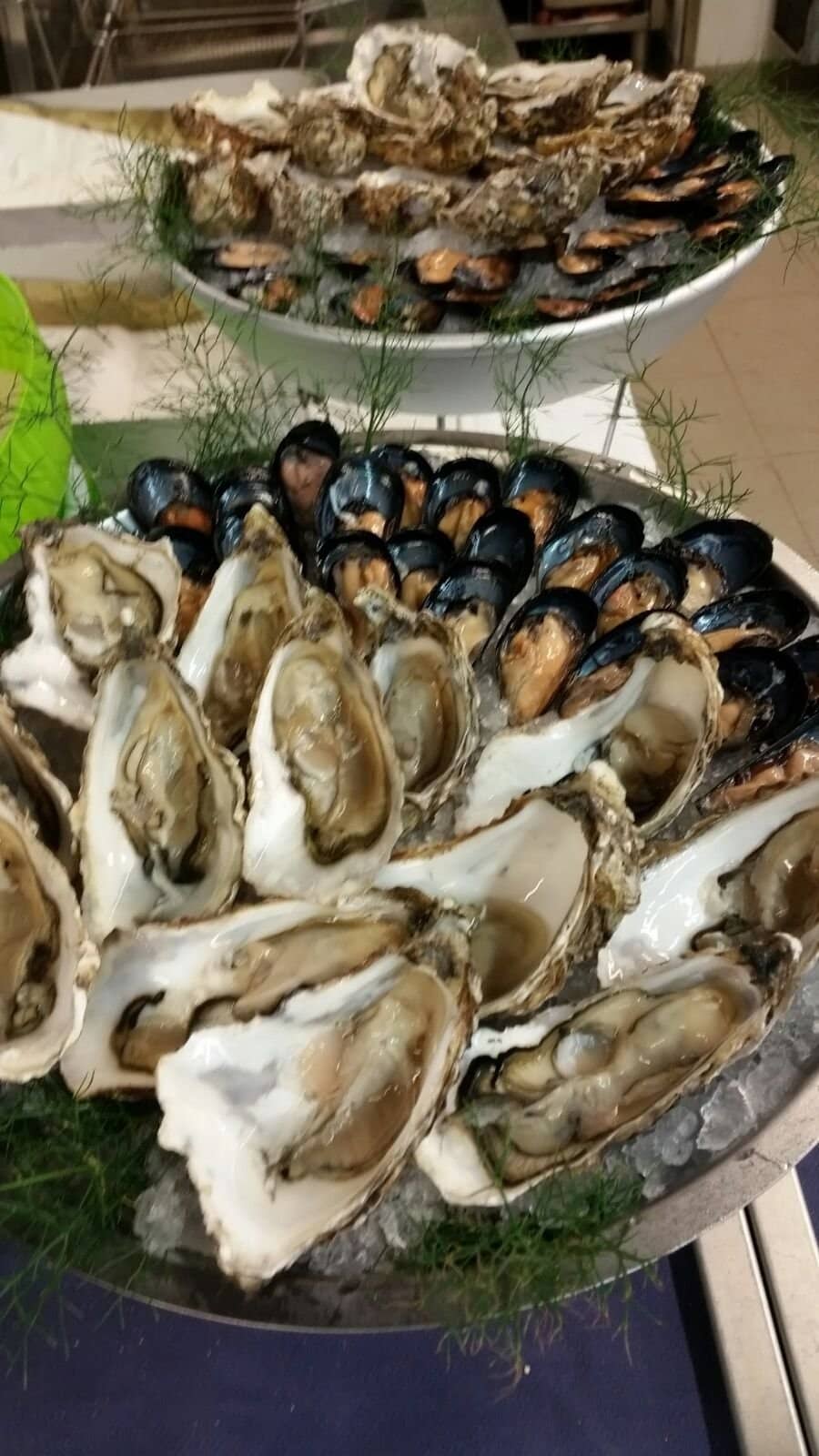 Tranquil Garden Oasis