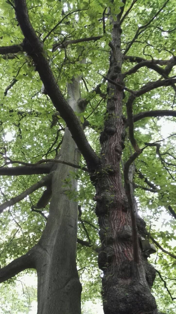 Vertical photo