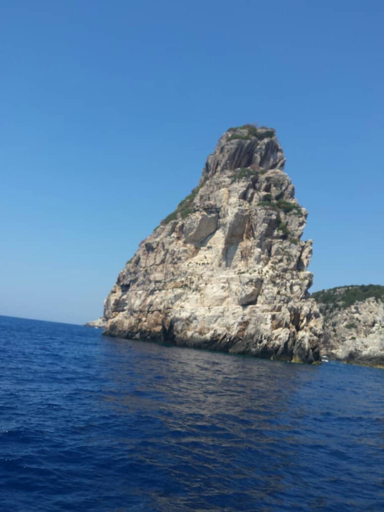 Vertical photo