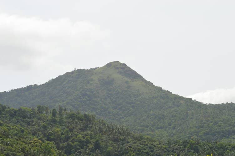 Dense Rainforest Trekking