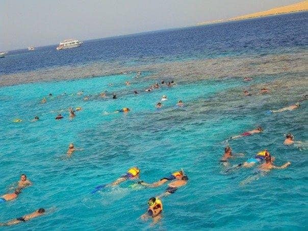 Snorkeling Adventures