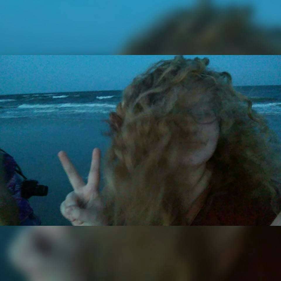 Dog-Friendly Freedom