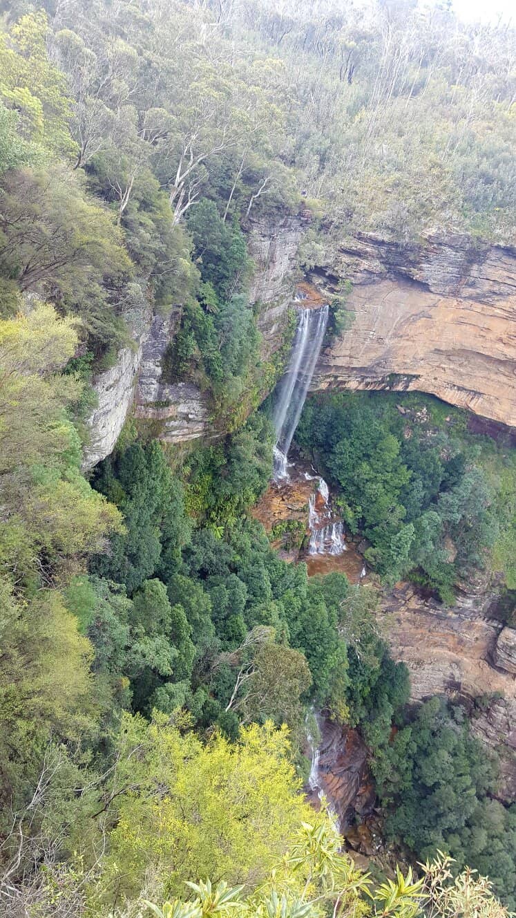 Vertical photo