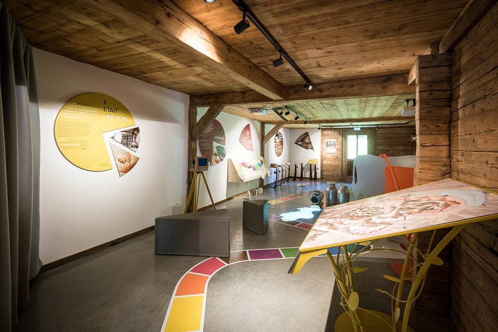 Alpine Skiing Exhibition