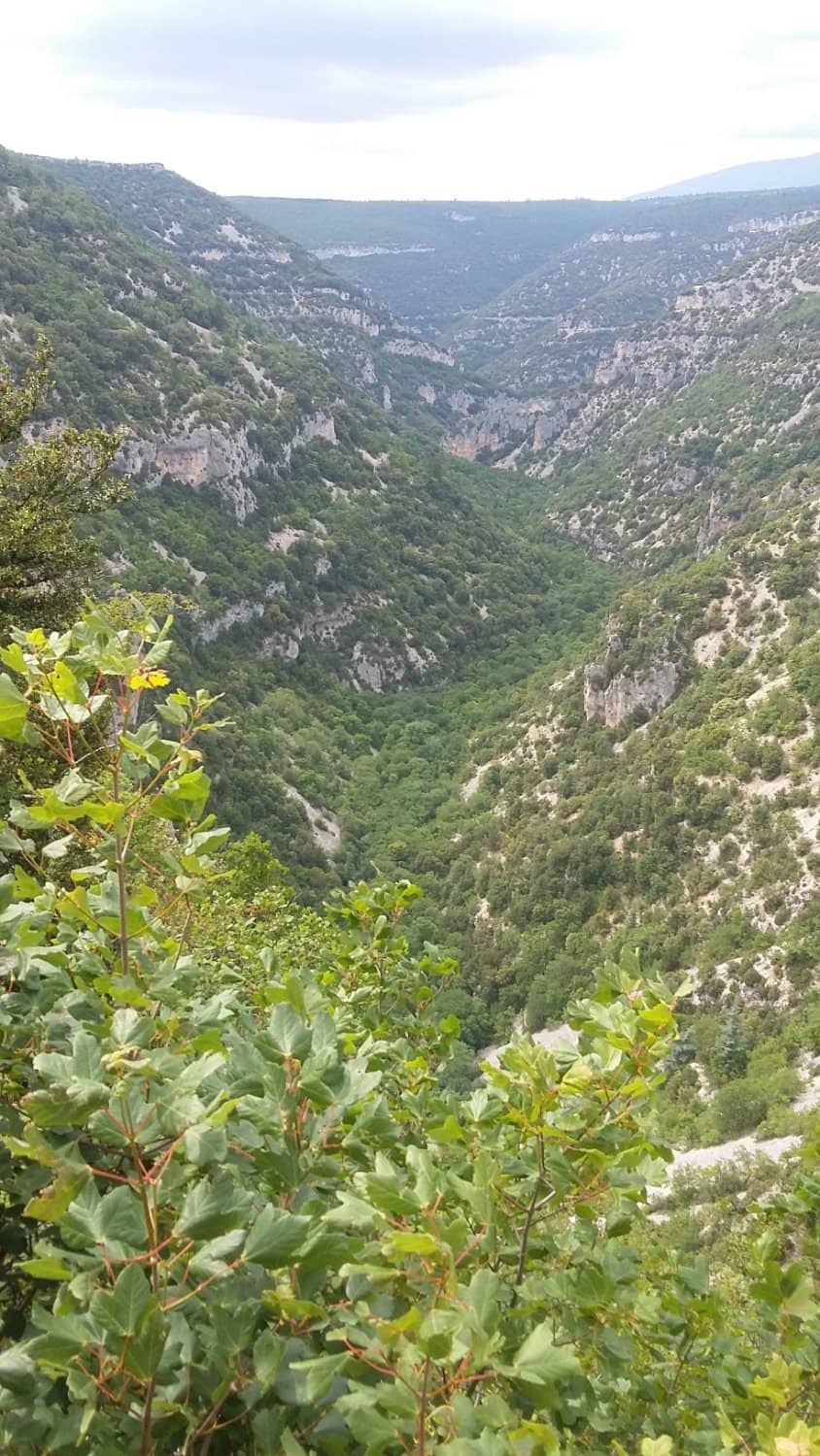 Mont Ventoux Backdrop