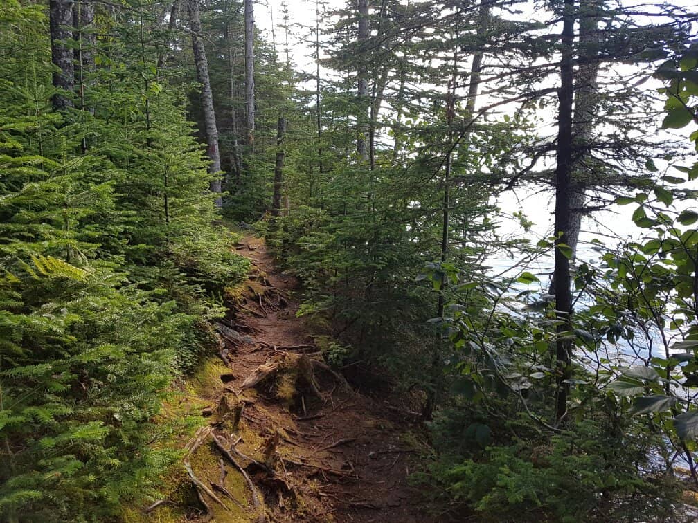 Sand Sculpture Competition