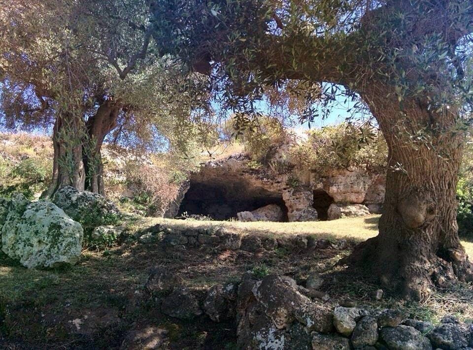 Olive Groves and Caves
