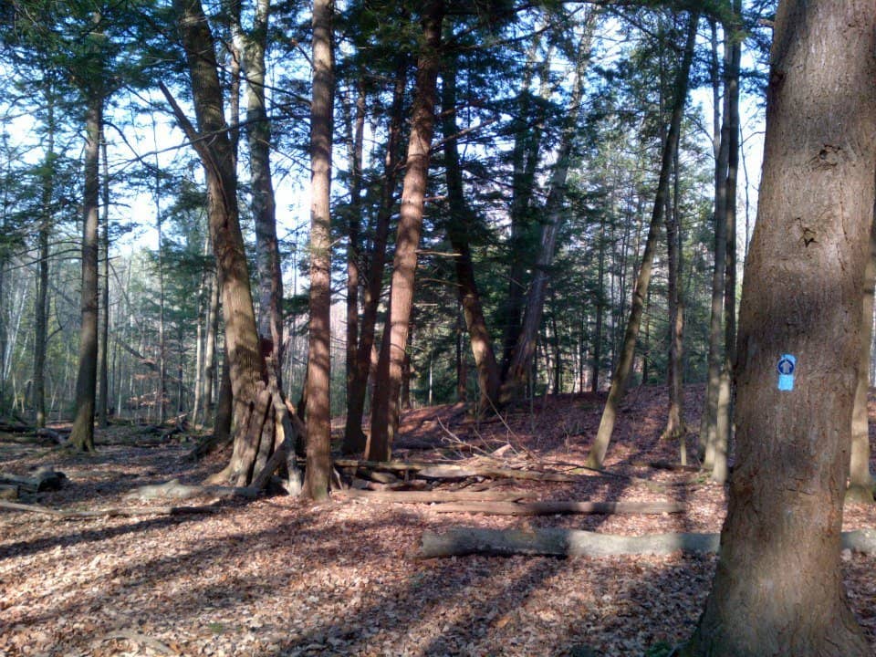 Vertical photo
