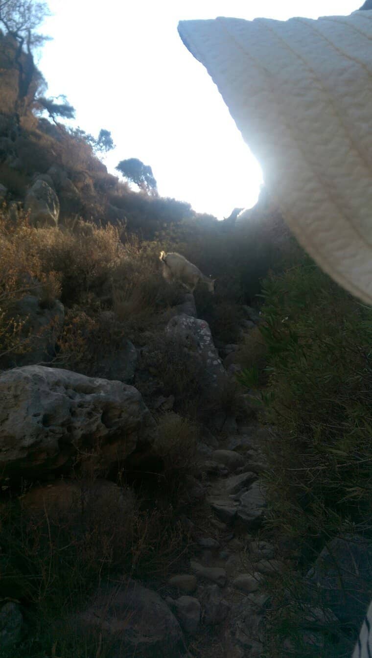 Vertical photo