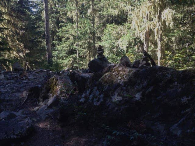 Vertical photo
