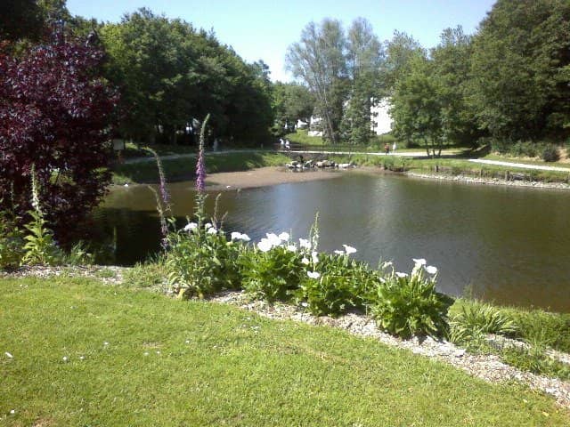 Peaceful Riverside Stroll