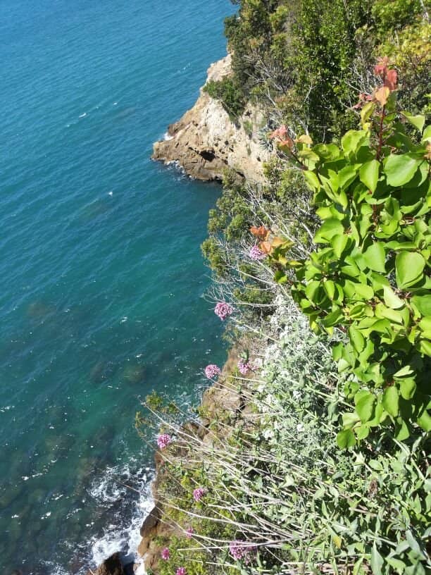 Vertical photo