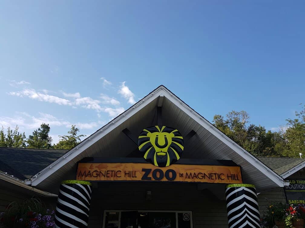 Peregrine Falcon Nest Cam