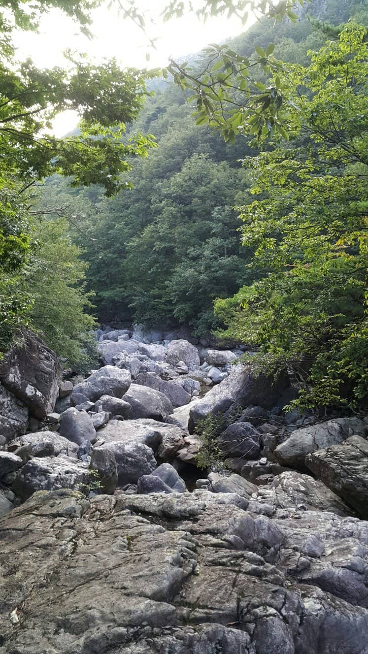 Challenging Trails