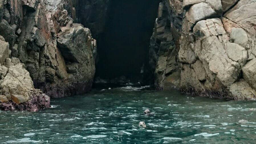 Legend of the Lord of Saltés