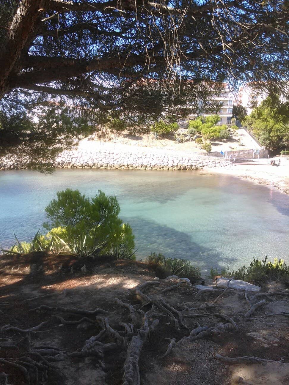 Family-Friendly Environment