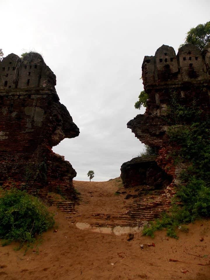 Mesmerizing Sunset Views