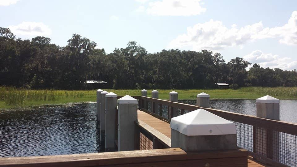 Wildlife Viewing Pier