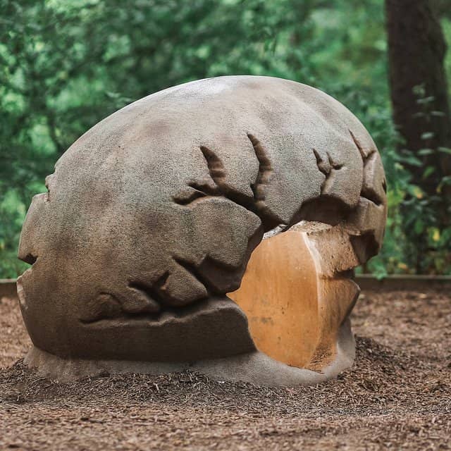 Woodland Walks