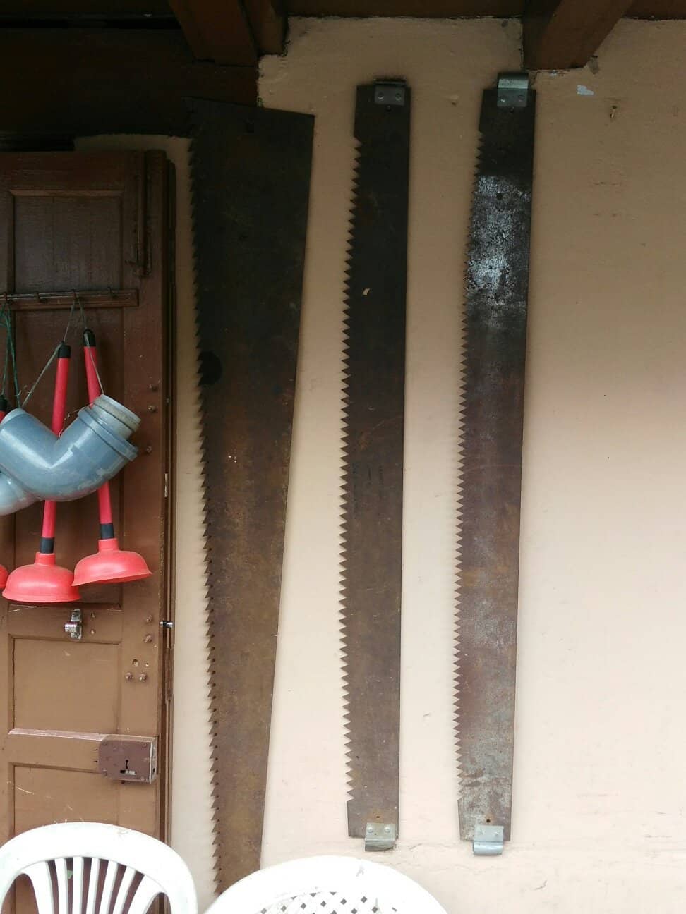 Tea Flower Discovery