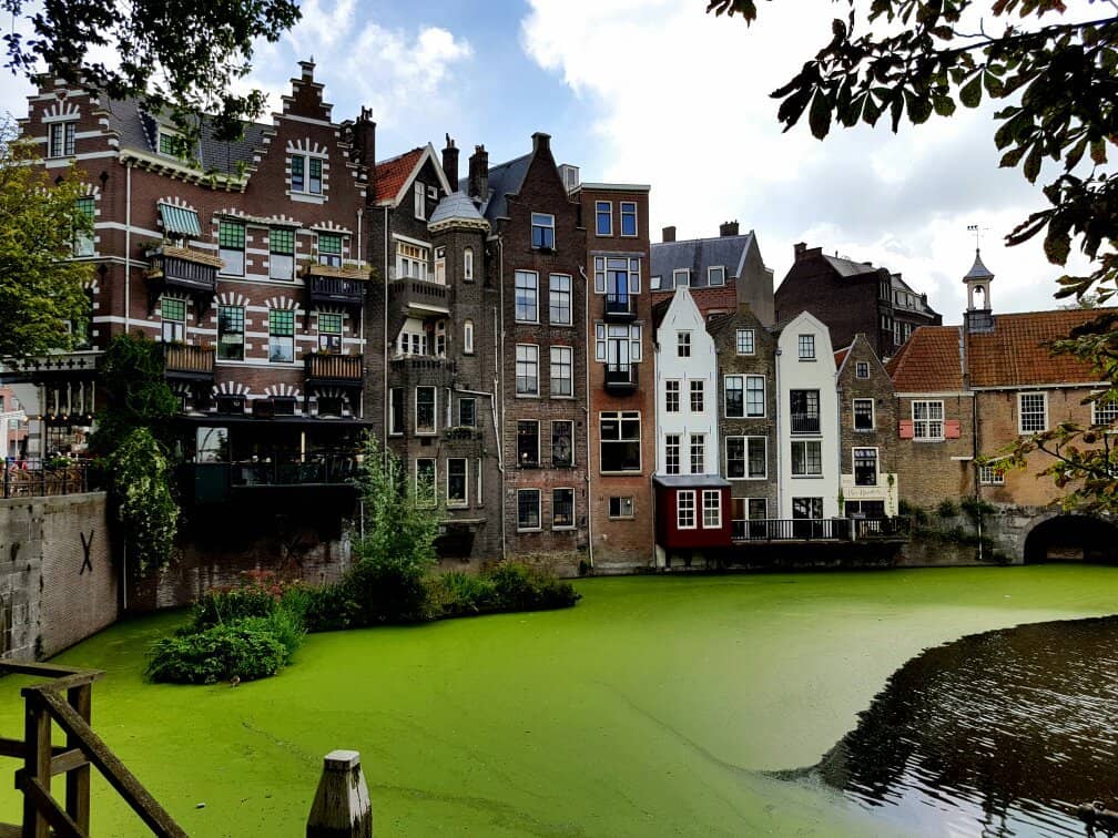 Local Cafes & Eateries