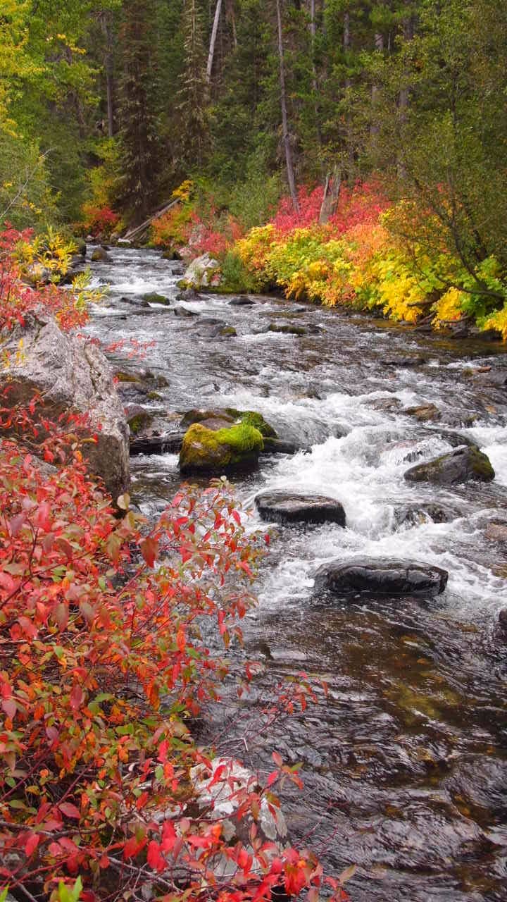 Hyalite Canyon Scenic Drive