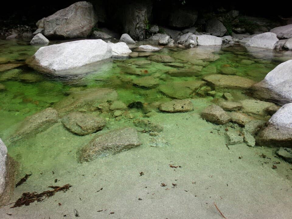 Suspension Bridge Views