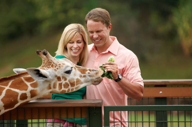 Art Gallery Adjacent