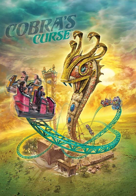 Old Growth Forest Trails