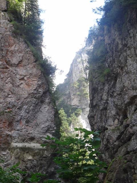 Waterfall Ascent