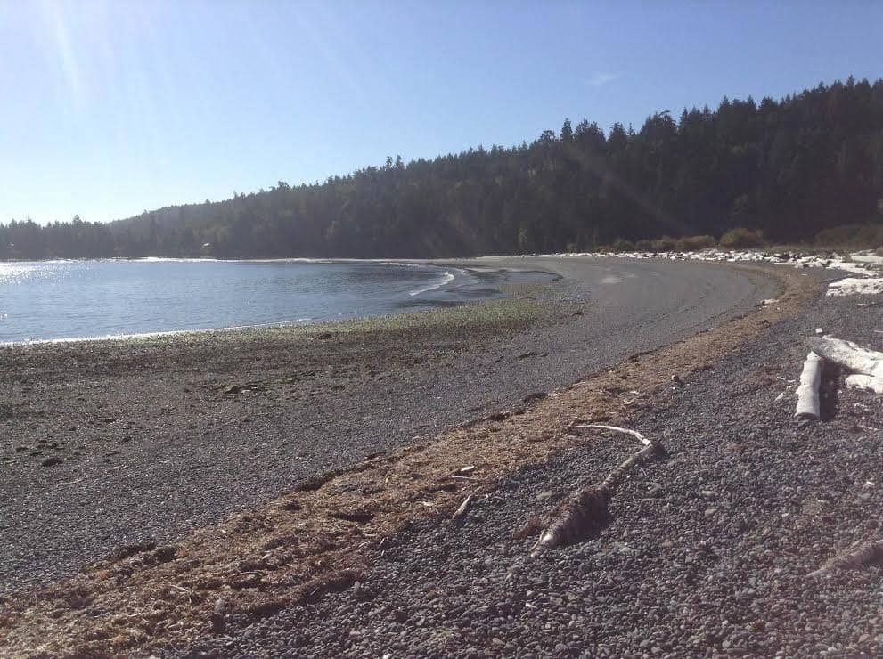 Forest Trail to the Beach