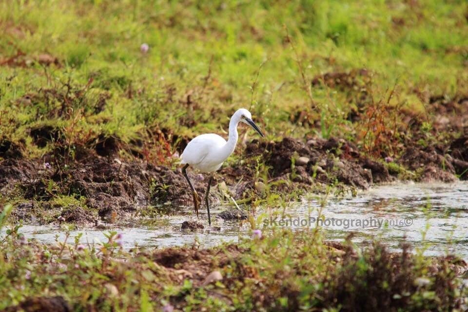 Children's Activities