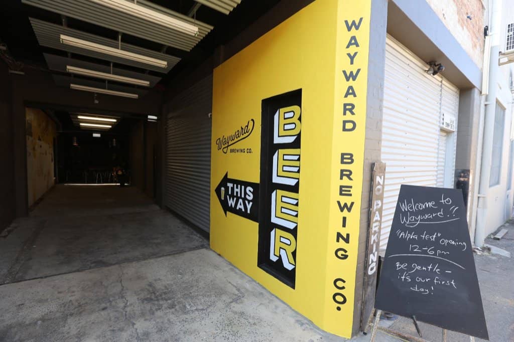Dog-Friendly Patio
