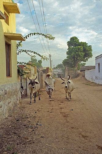 Intricate Sandstone Carvings