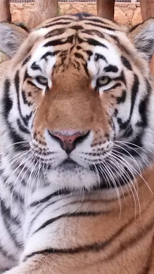 Vertical photo