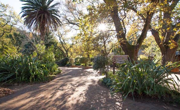 Mushroom Foraging Experience