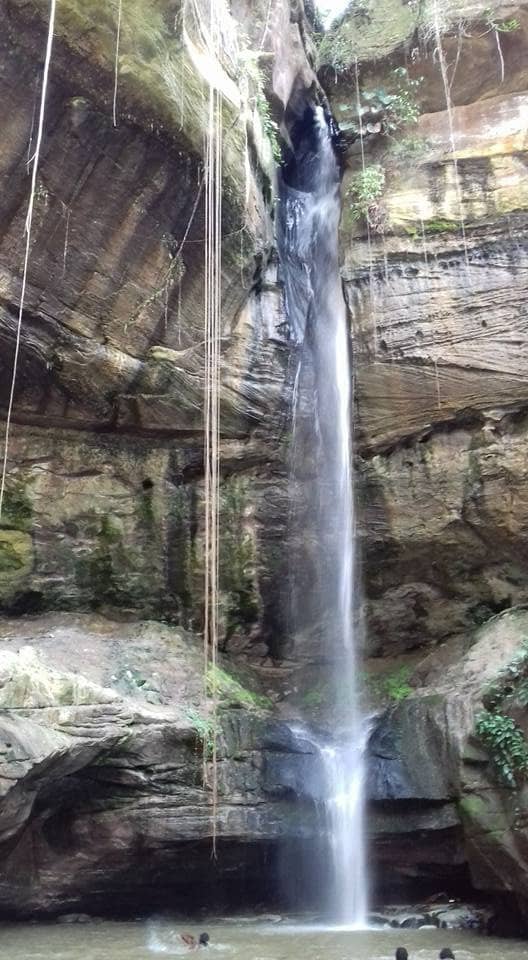Natural Pools