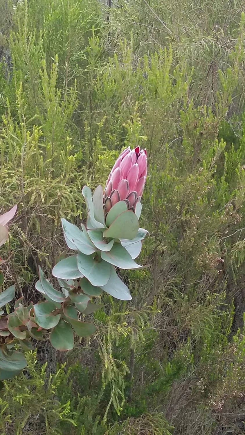 Diverse Hiking Trails