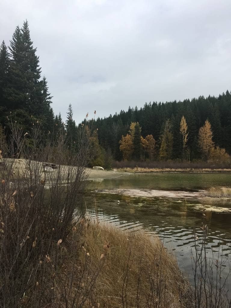 Cedar Lake Farmers Market