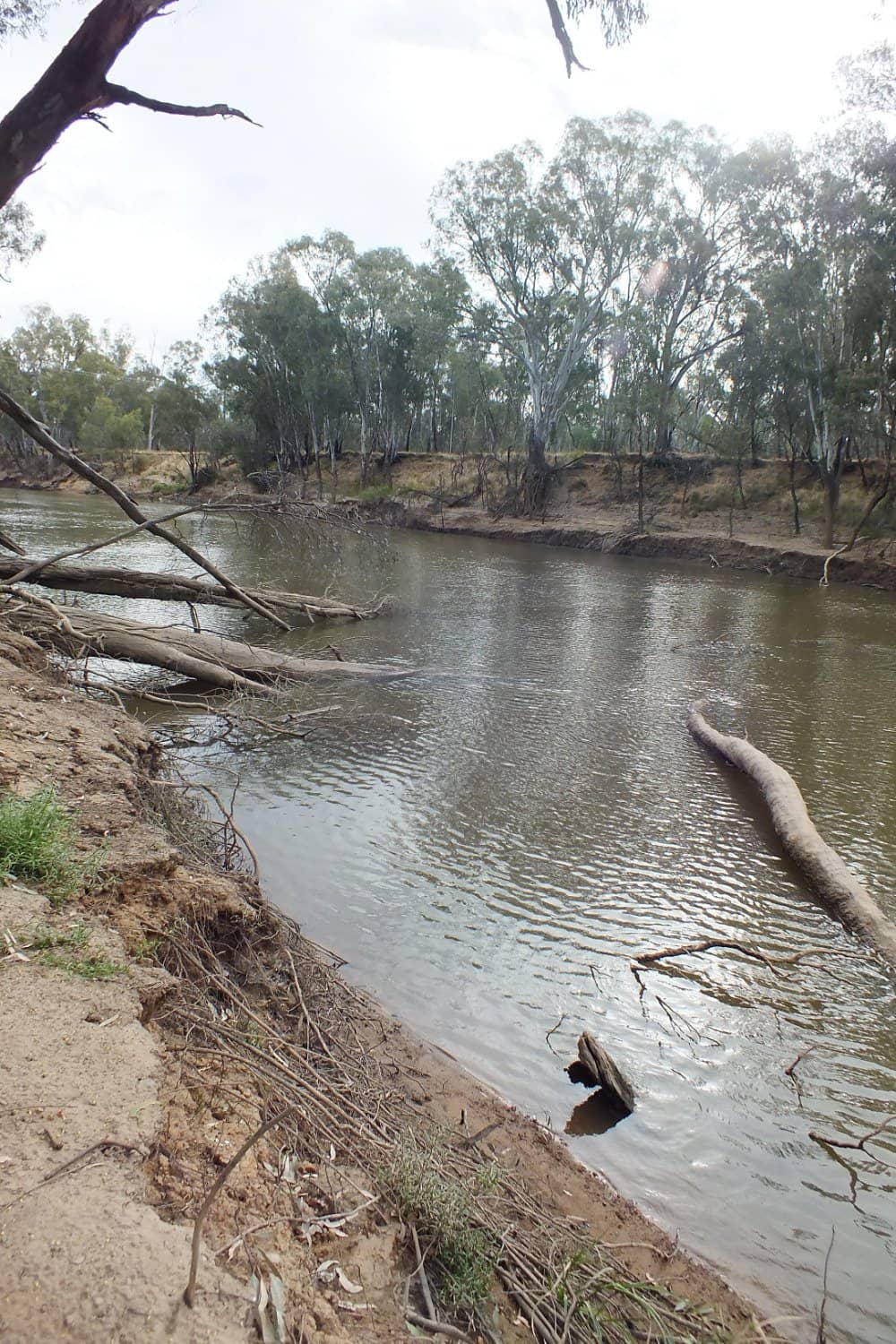Mountain Biking Trails