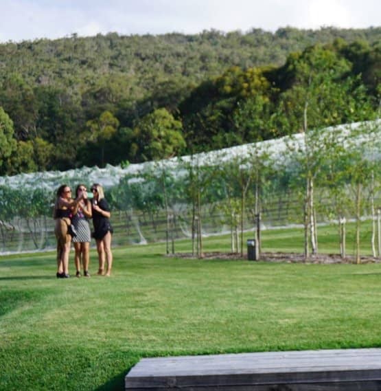 Gourmet Pizza & Cheese Boards