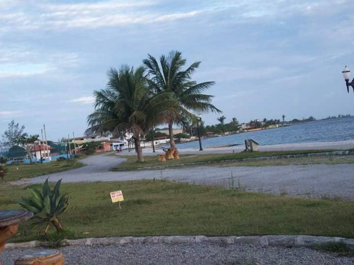 Family-Friendly Amenities