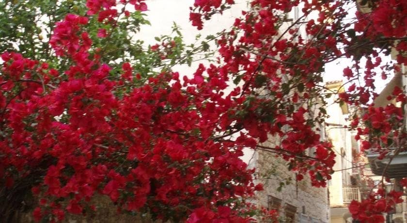 Unique Souvenir Shop