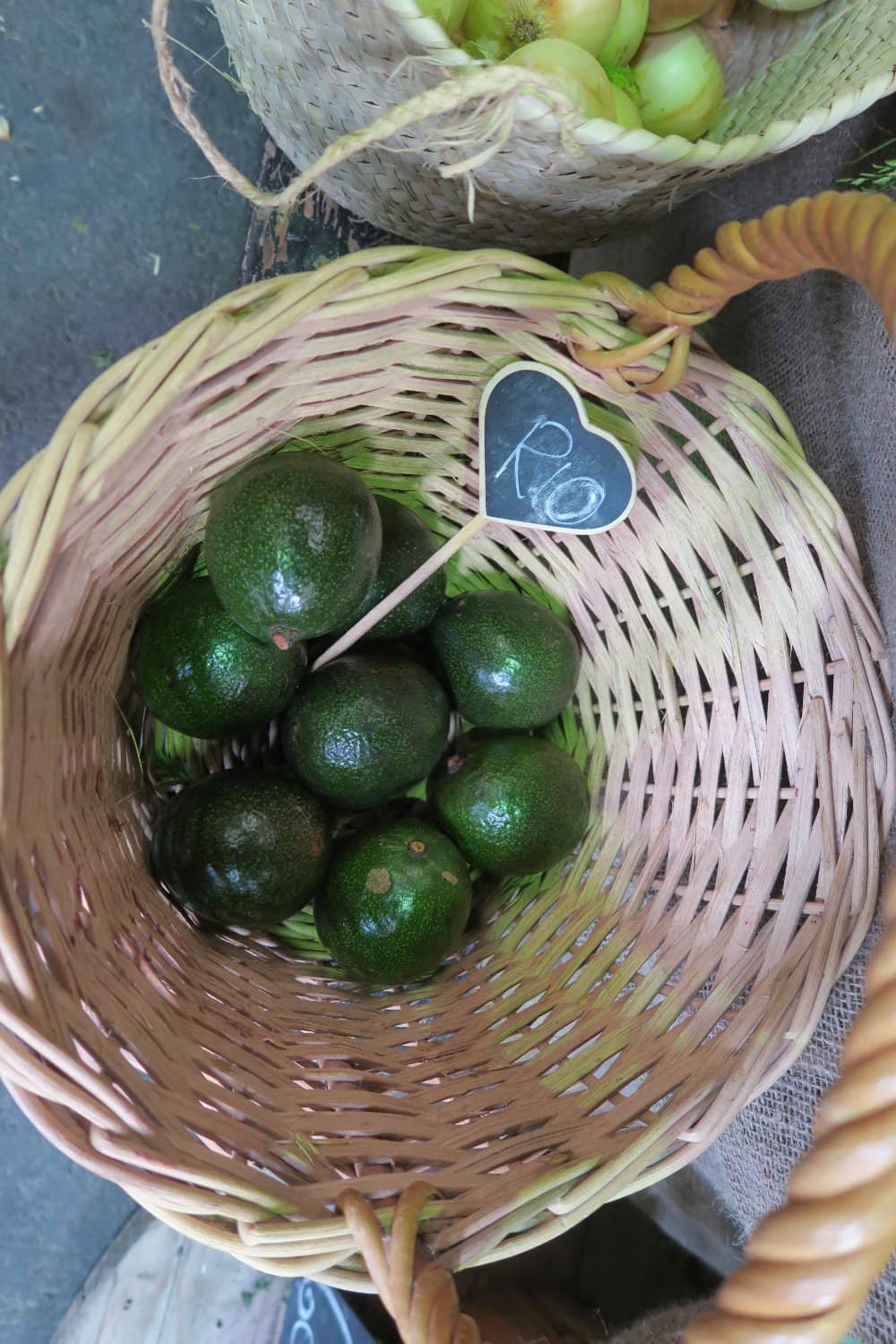 Pet-Friendly Outdoors