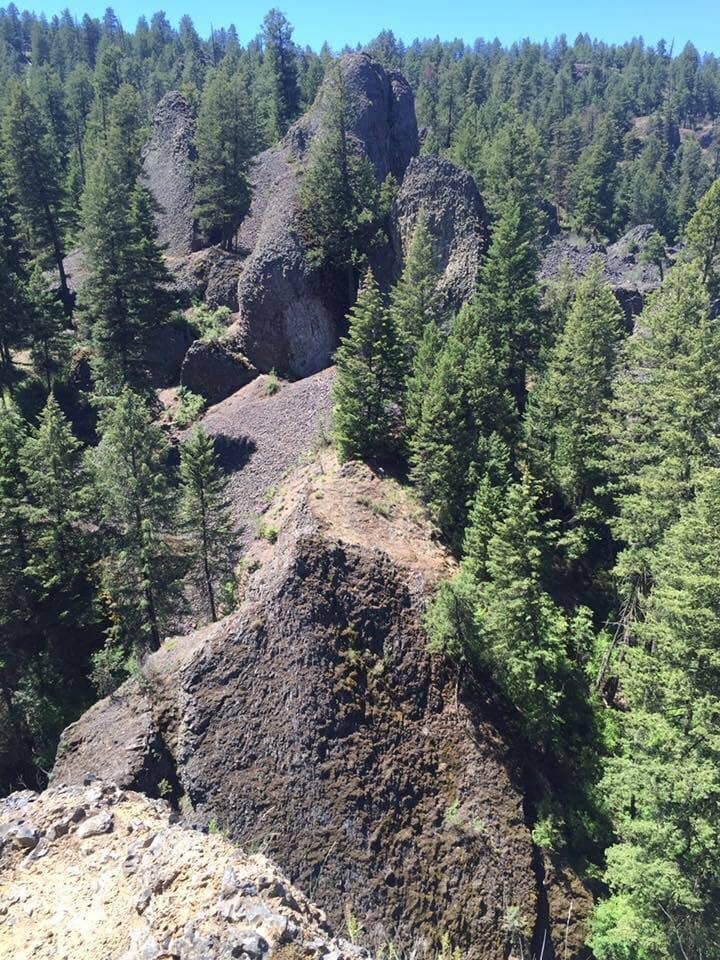 Vertical photo