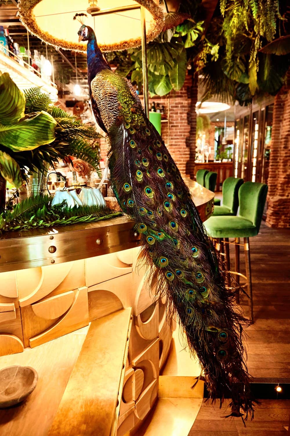 Exotic Fusion Cuisine