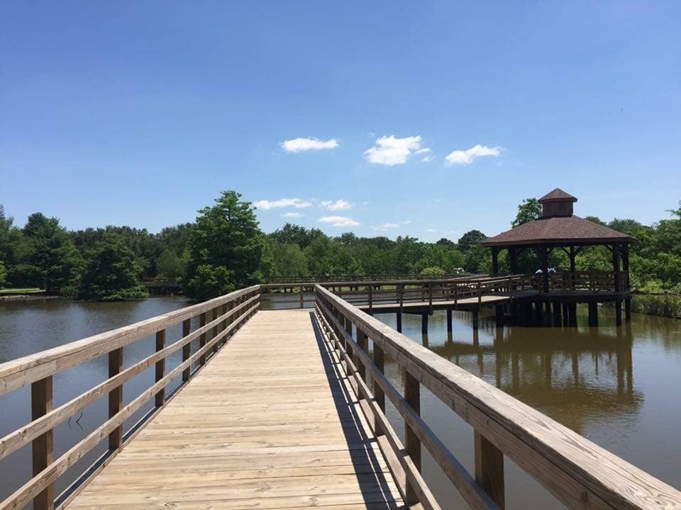 Bird Sanctuary