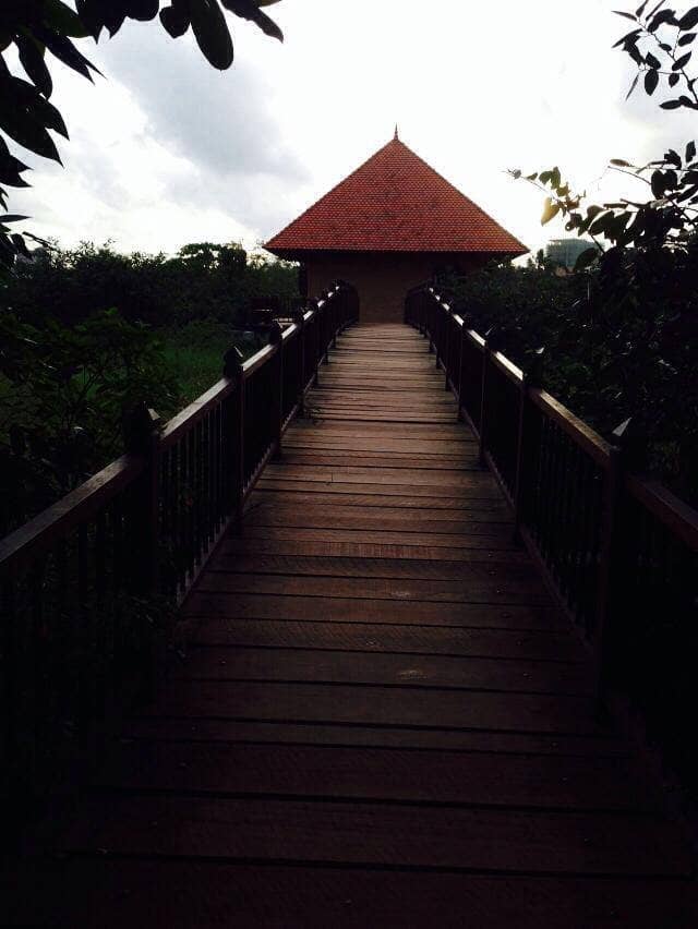 Vertical photo