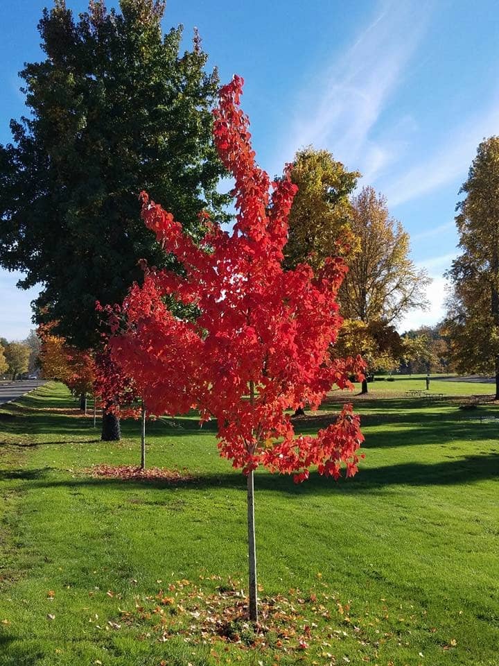 Vertical photo