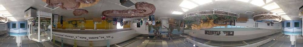 Ocean Tank Wonders